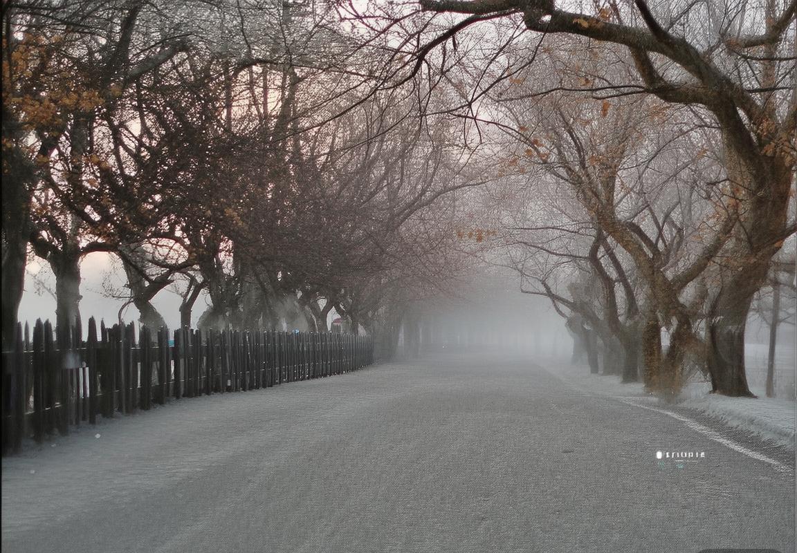 王者荣耀朔组织全解析：海月与云中漠地英雄背景故事揭秘